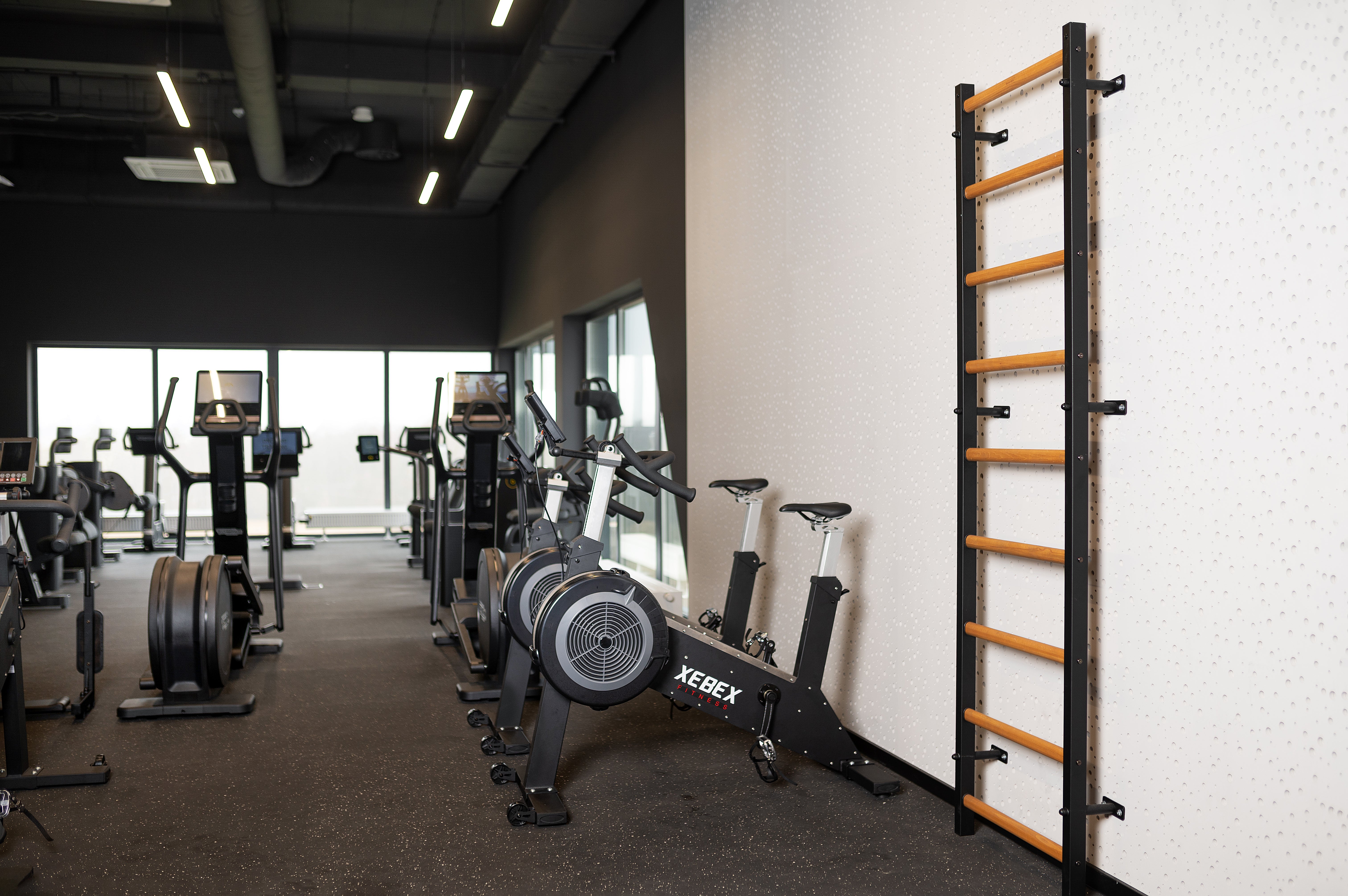 BenchK 700 Swedish Ladder