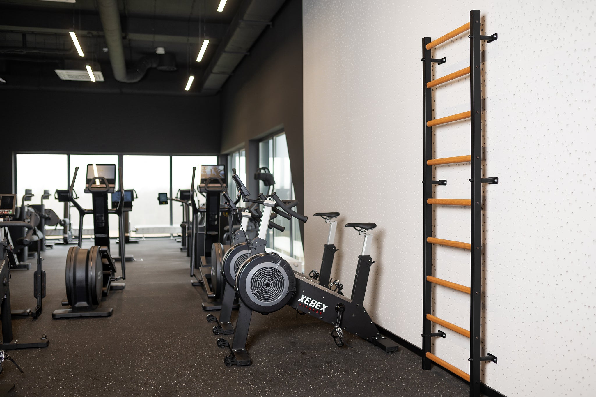 BenchK 700 Swedish Ladder