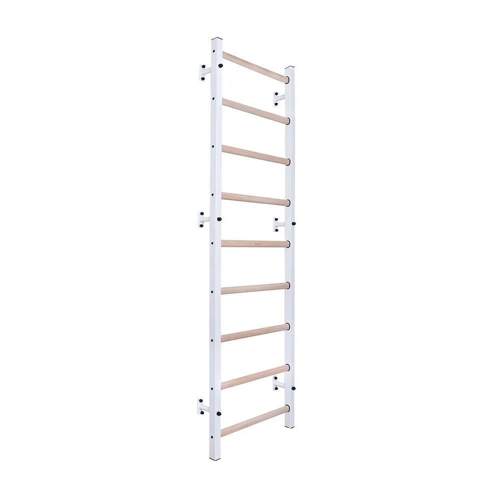 BenchK 700 Swedish Ladder