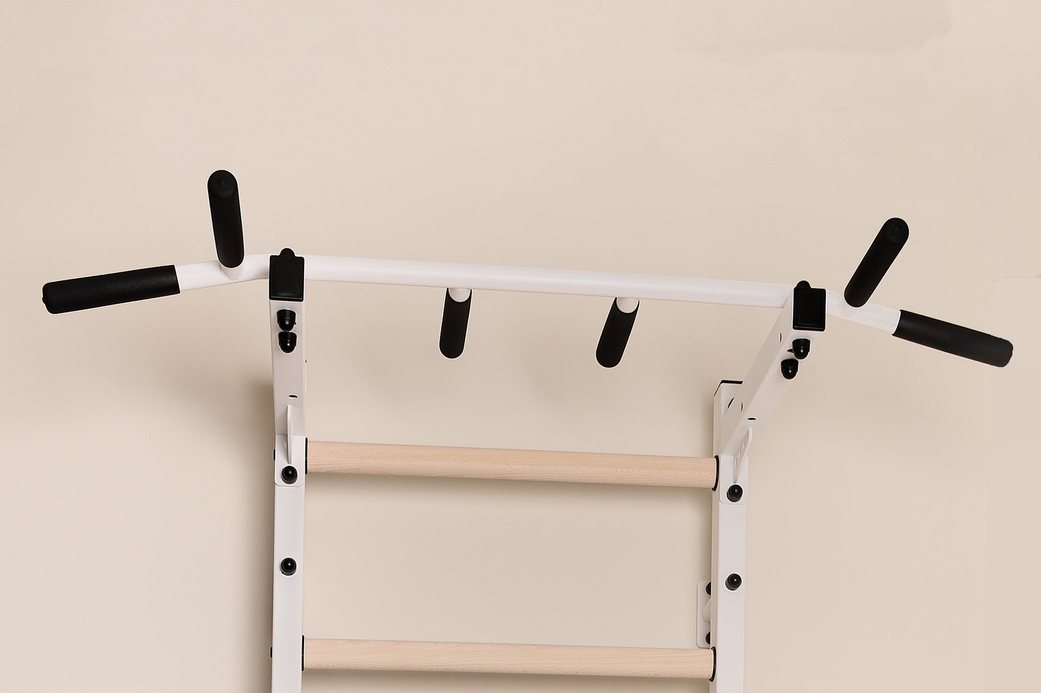 BenchK 722 Swedish Ladder with Pull-Up Bar and Dip Bar