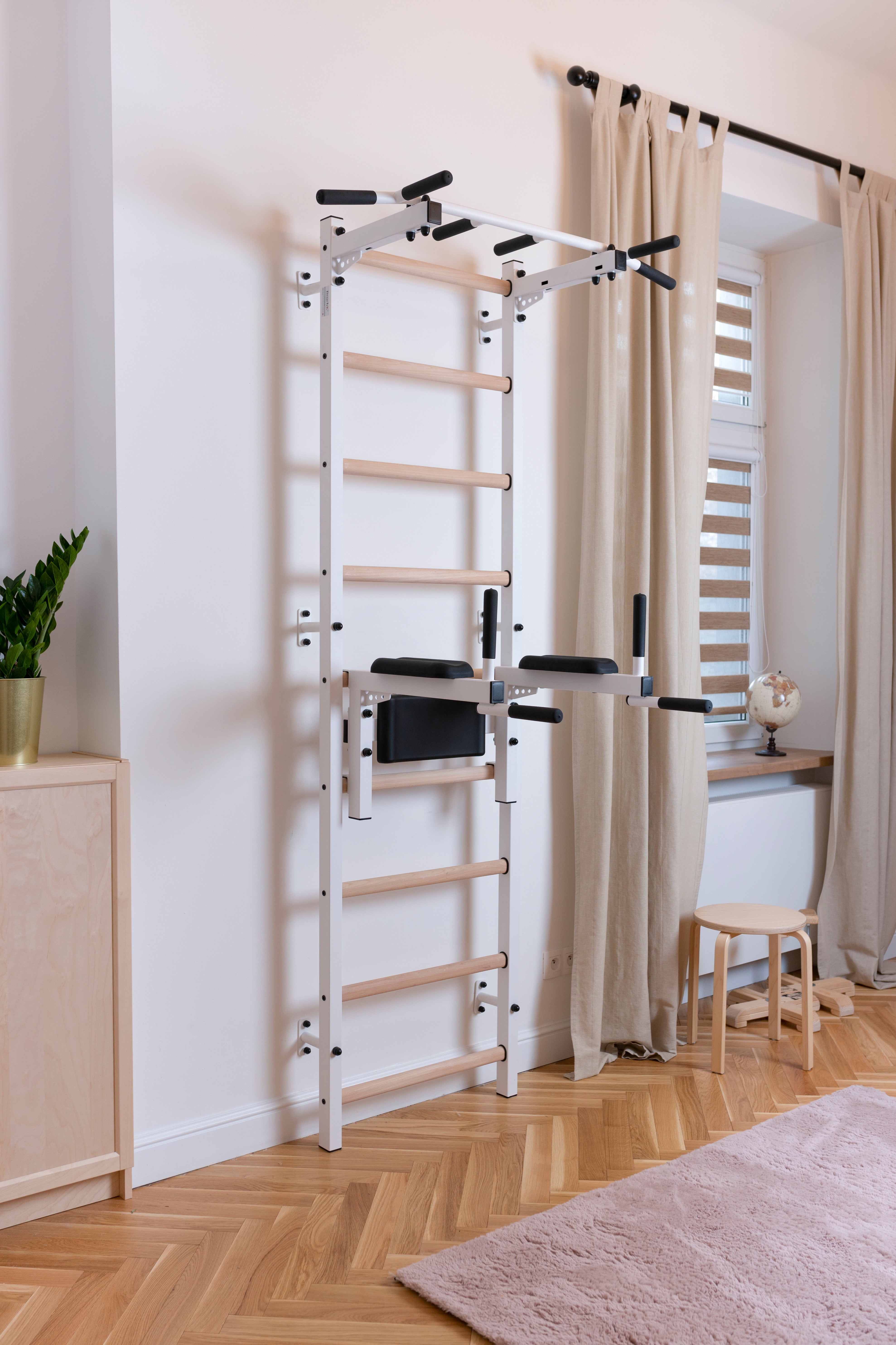BenchK 722 Swedish Ladder with Pull-Up Bar and Dip Bar