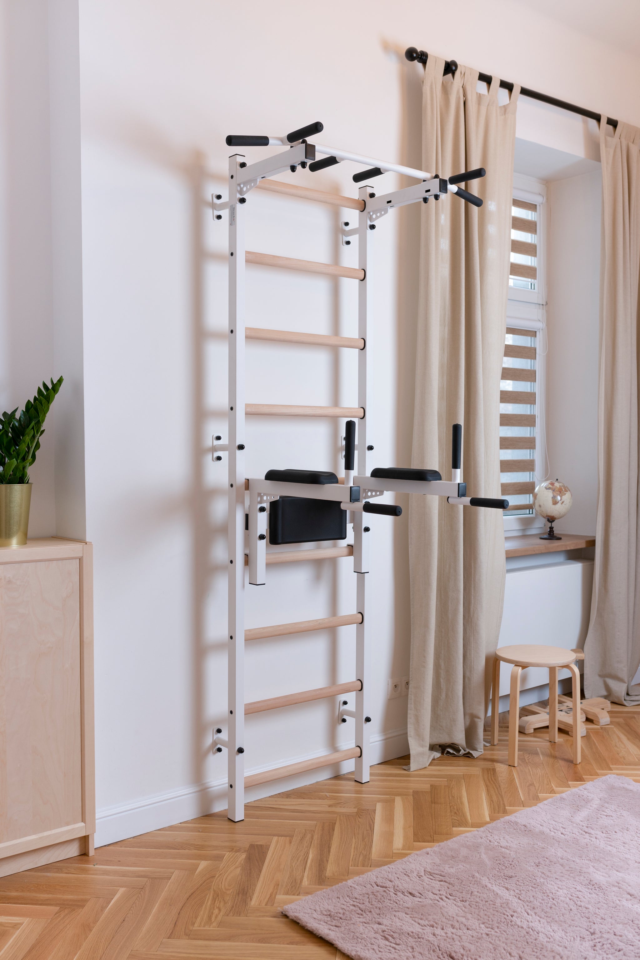 BenchK 722 Swedish Ladder with Pull-Up Bar and Dip Bar