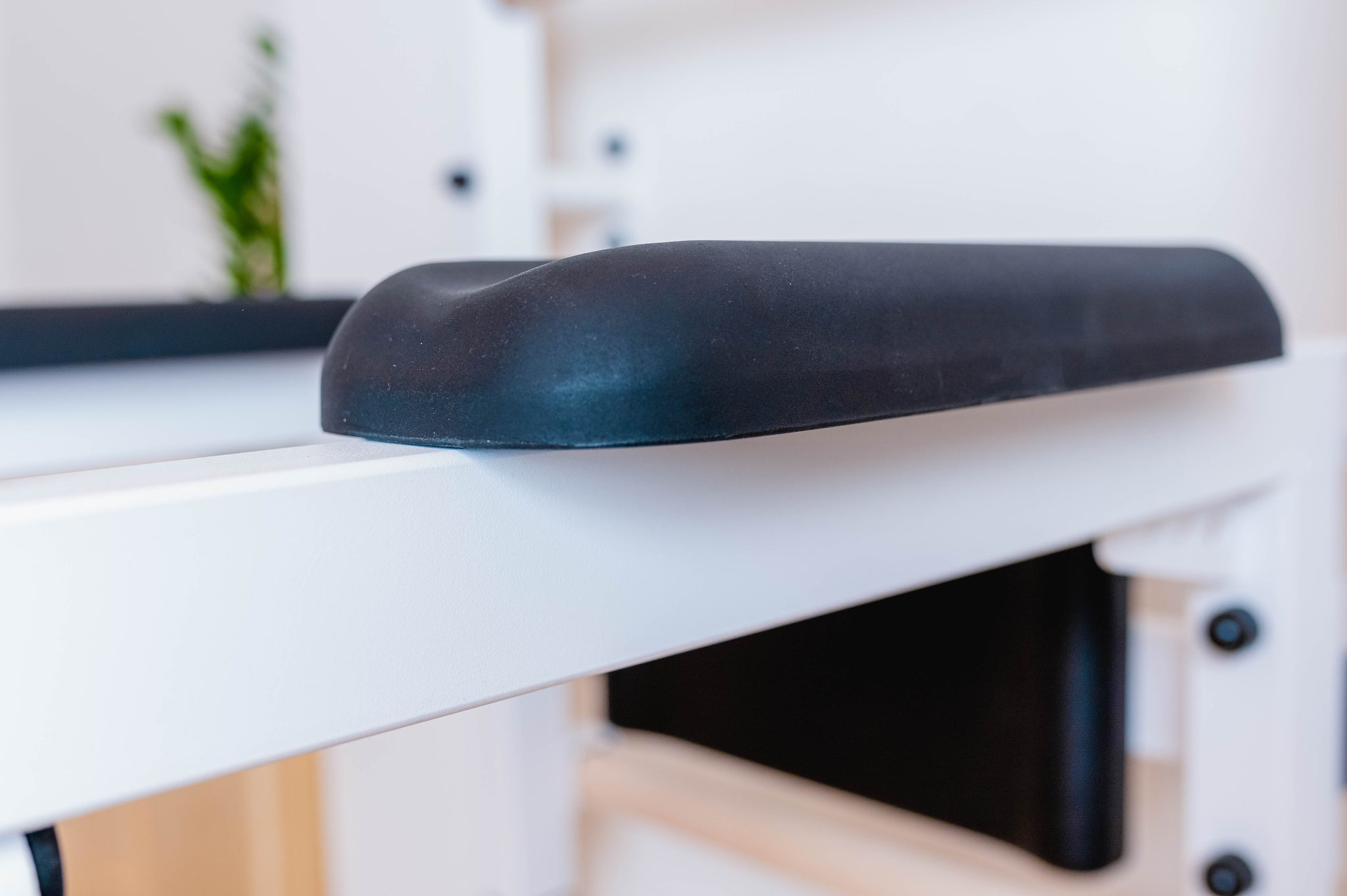 BenchK 722 Swedish Ladder with Pull-Up Bar and Dip Bar