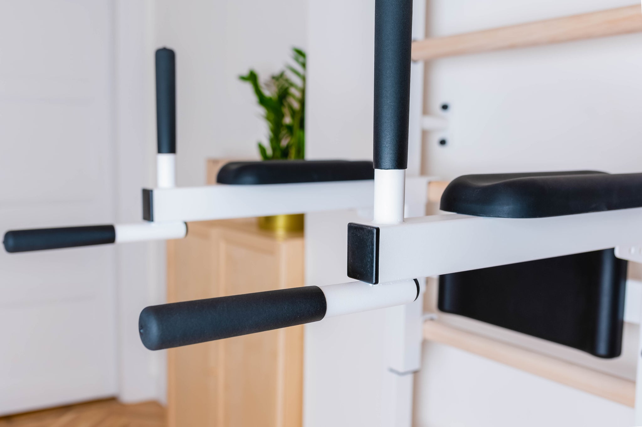 BenchK 722 Swedish Ladder with Pull-Up Bar and Dip Bar