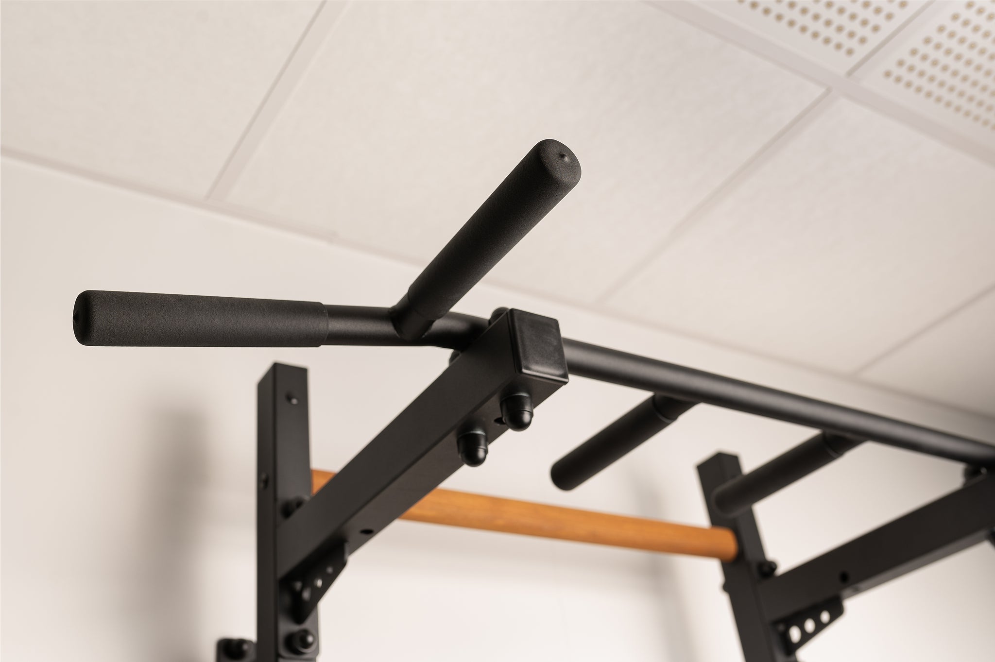 BenchK 722 Swedish Ladder with Pull-Up Bar and Dip Bar
