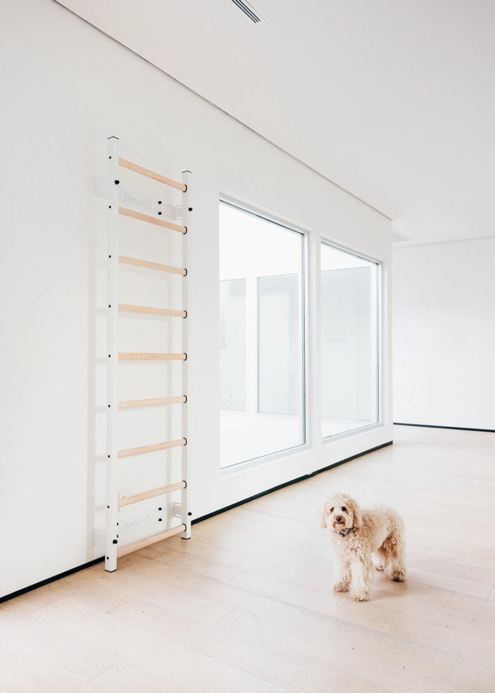 BenchK 700 Swedish Ladder